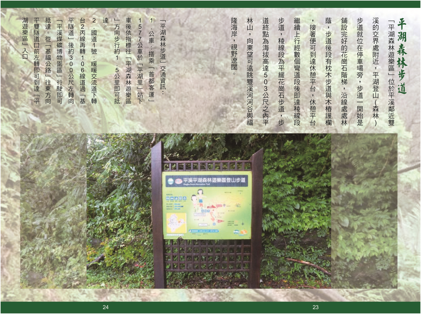 平湖森林步道