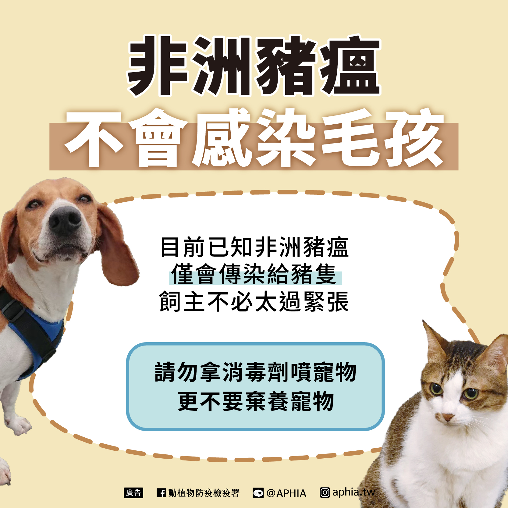 非洲豬瘟不會傳給毛小孩