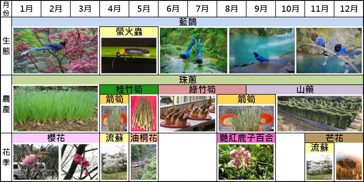 平溪季節出遊行事曆